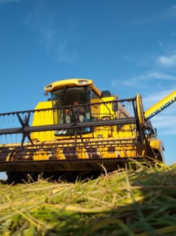 Entidades gaúchas do setor do arroz defendem mudanças em linhas de crédito e seguro agrícola