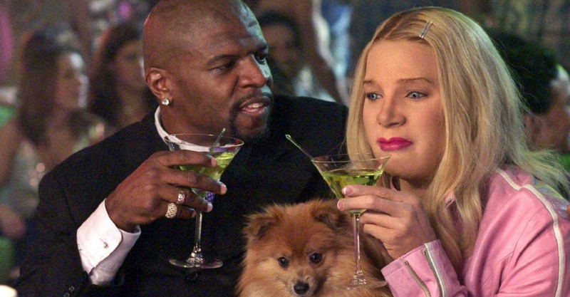 Atra&ccedil;&otilde;es em dose dupla, nesta sexta-feira (19) e em 3 de fevereiro, marcam o anivers&aacute;rio de 19 anos do Mesa de Cinema, filmes escolhidos foram As Branquelas (foto) e La Belle Verte