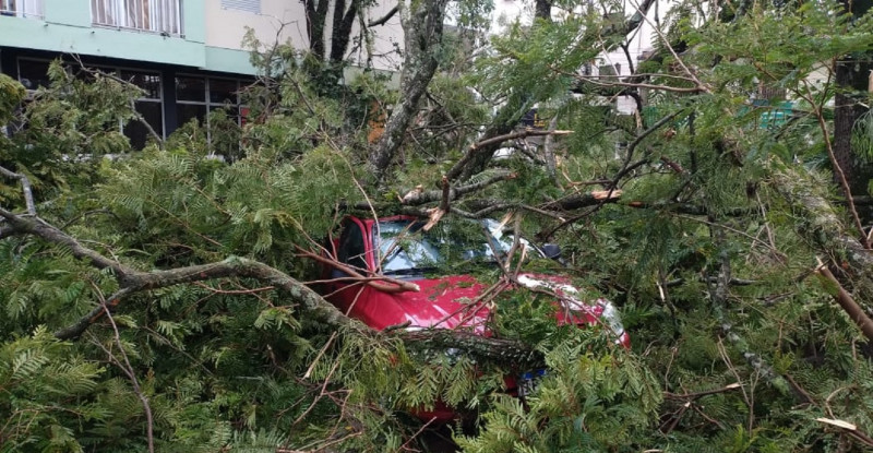 Parte das árvores caíram sobre carros em Estrela