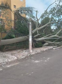 RGE tem ainda 8 mil clientes sem luz