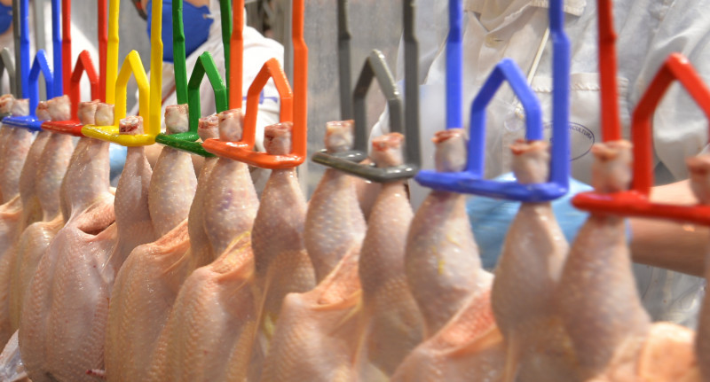 Parceria prevê que a unidade da Languiru em Westfália destinará produtos para a JBS, a partir de fevereiro