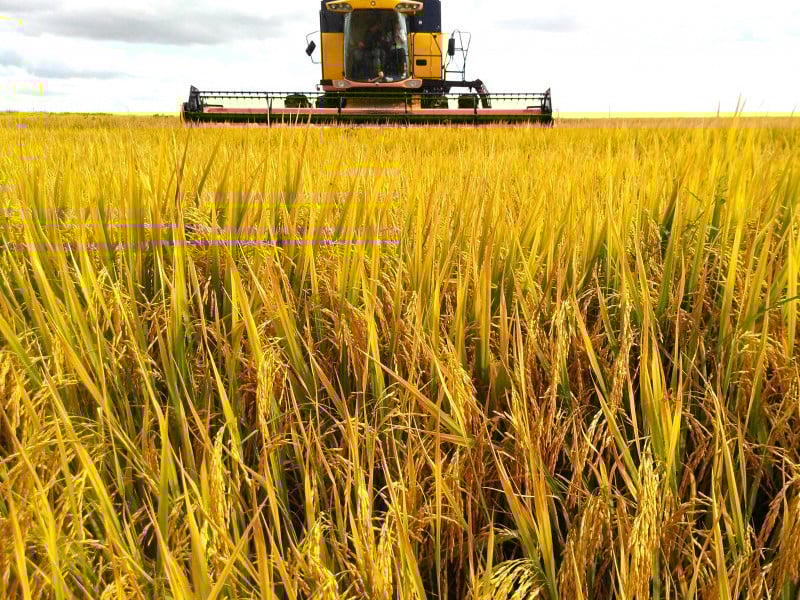 Venda de colheitadeiras caiu 17,5% durante o ano passado, diz a Abimaq