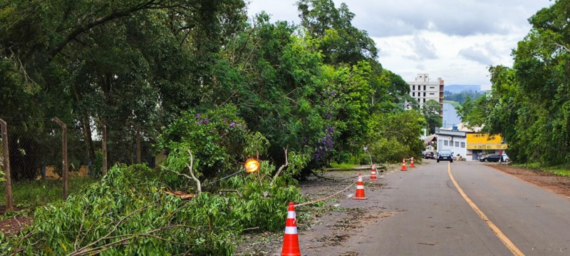 Prefeitura de Estrela quer trocar serviço da RGE pelo da Certel