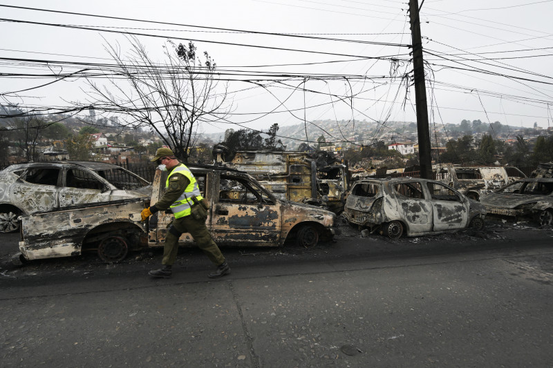 Mais de 90 inc&ecirc;ndios florestais atingiram as regi&otilde;es centrais e Sul do pa&iacute;s 