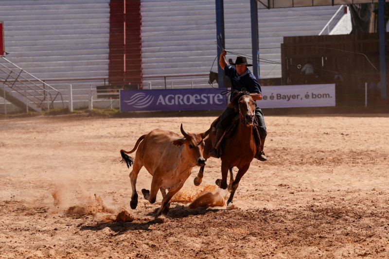 A competição de Laço Dupla, uma das mais aguardadas, ocorrerá no domingo