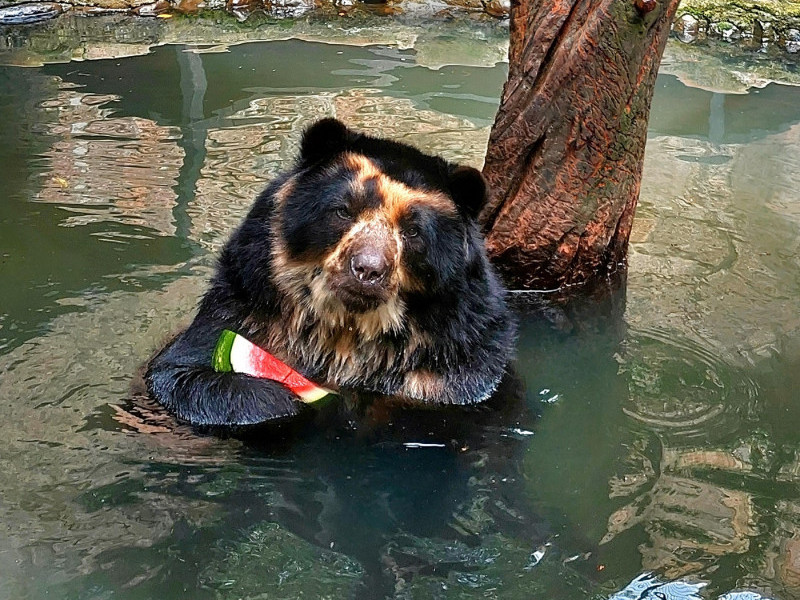 Município teve surto há dois anos e passou todo o 2023 em alerta; este ano, é o segundo do RS em positivados