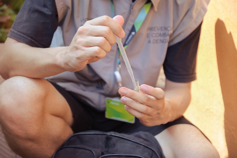 Pesquisadores coletam amostras no domicílio de Novo Hamburgo