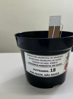 Ovitrampas s&atilde;o usadas como armadilhas para atrair a f&ecirc;mea do mosquito