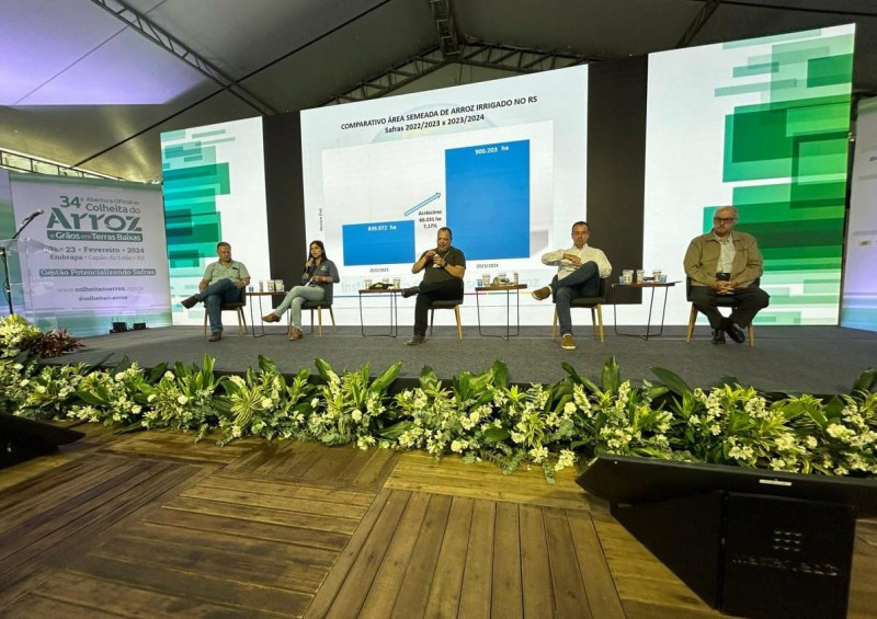 Federarroz quer que área com o grão não ultrapasse os 900 mil hectares até a abertura de novos mercados