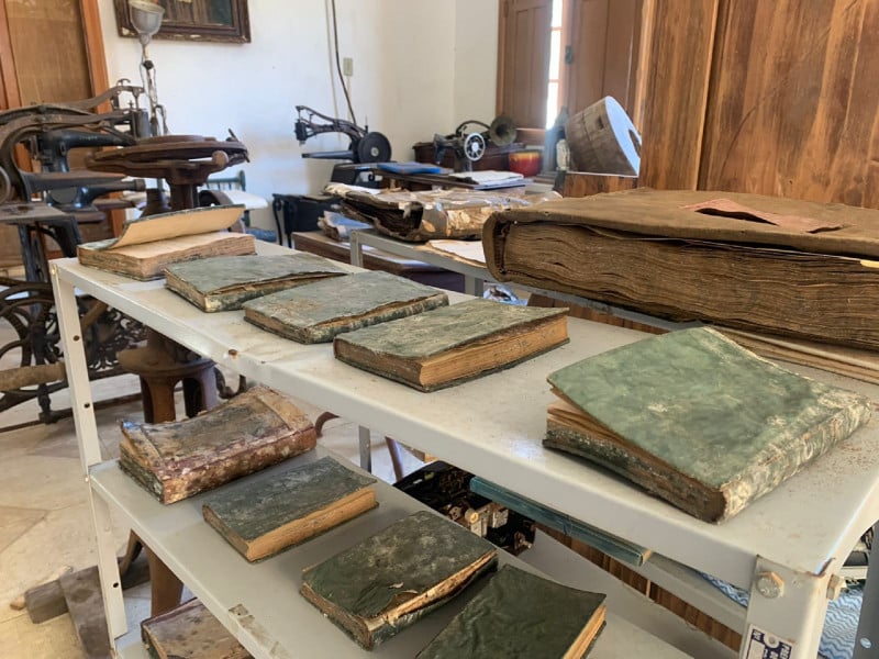 No total, cerca de 100 pe&ccedil;as ser&atilde;o tratadas ap&oacute;s o temporal que atingiu a cidade, em setembro