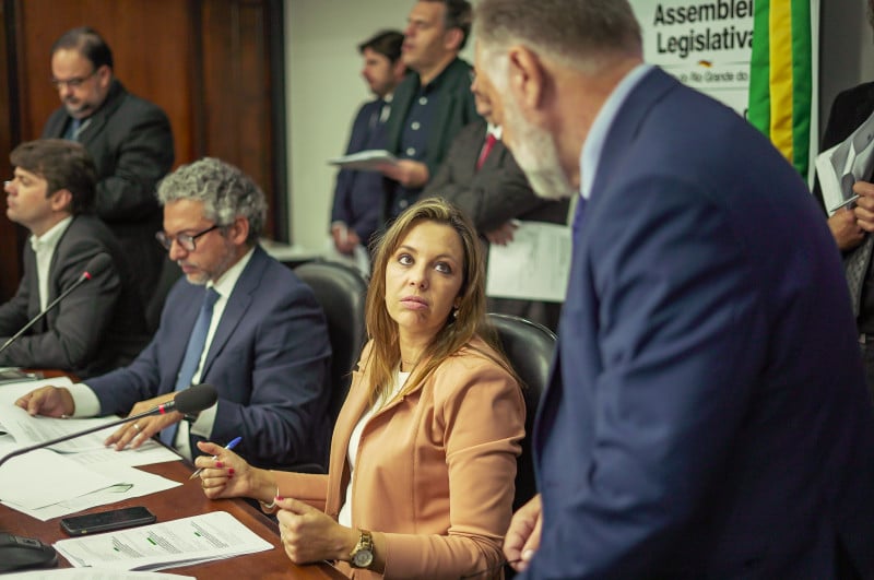 Assembleia deve tomar decisão sobre decretos antes de entrarem em vigor, diz relatora