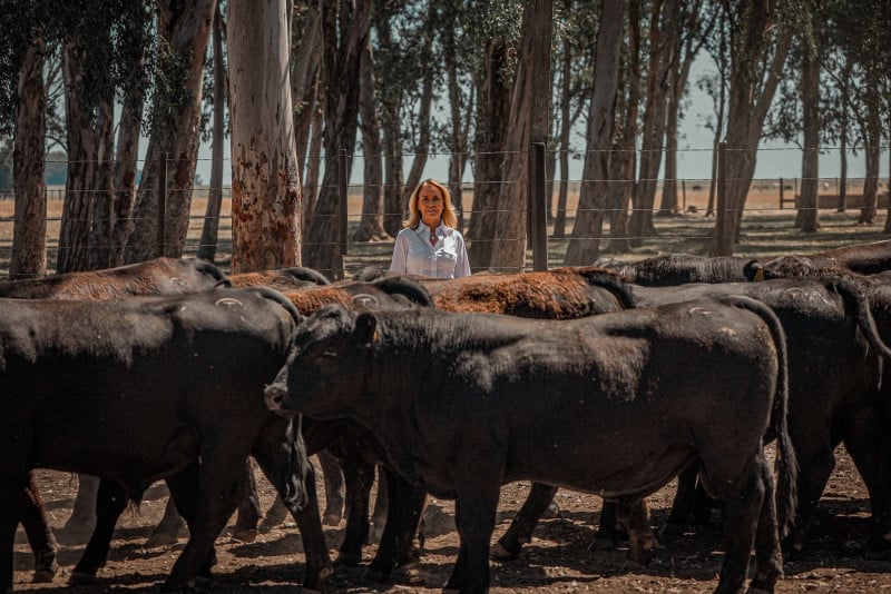 Mariana Tellechea é presidente da Associação Brasileira de Angus, dando continuidade ao legado de sua família Foto: Nelson Pinto Neto/Divulgação/JC