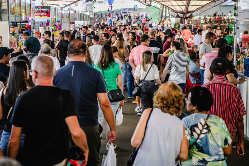 Festivais, show e distribuição de uvas atraíram grande público