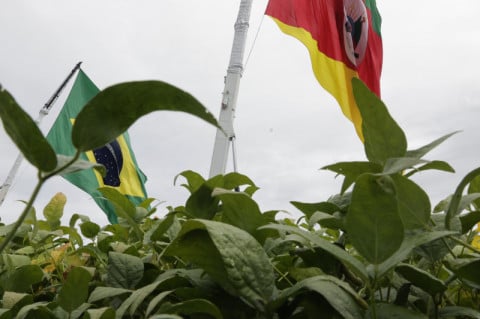 Cenário de incertezas faz produtor do RS ter cautela na hora de buscar crédito