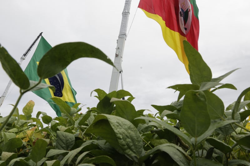 Retração da renda no campo reduz investimentos e afeta outros setores da economia