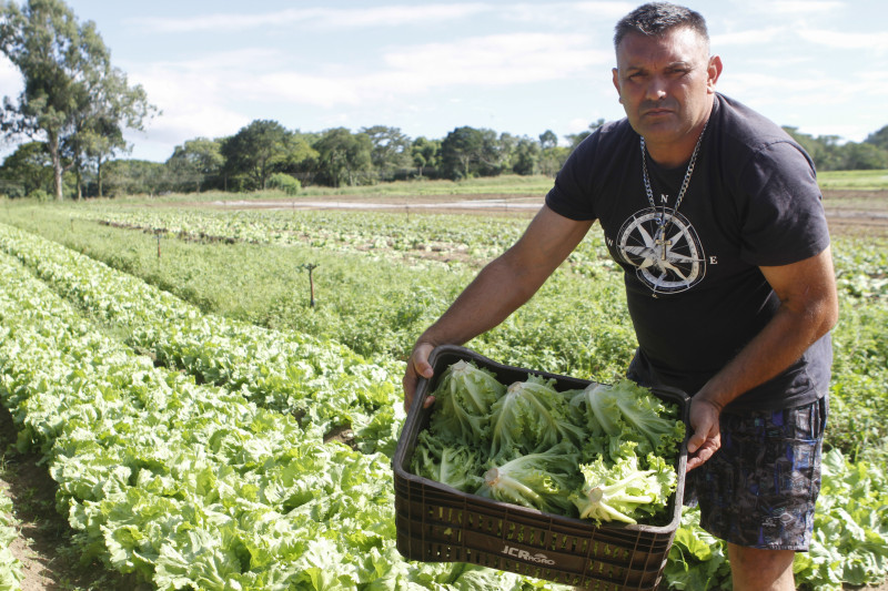 Oscar da Silva Goulart Neto distribui as hortaliças produzidas de forma convencional nos mercados da Zona Sul de Porto Alegre