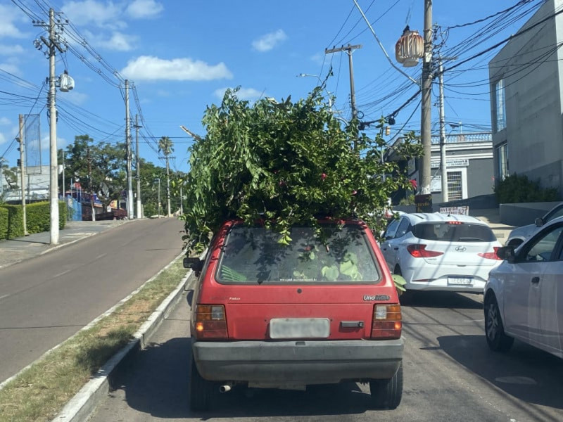 Carro Uno Mille com vegetais de carga