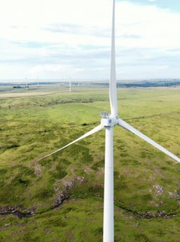 Sul do RS e Campanha tiram do papel oportunidades de desenvolvimento