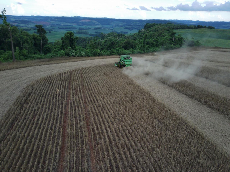 Colheita de soja no município de Tiradentes do Sul