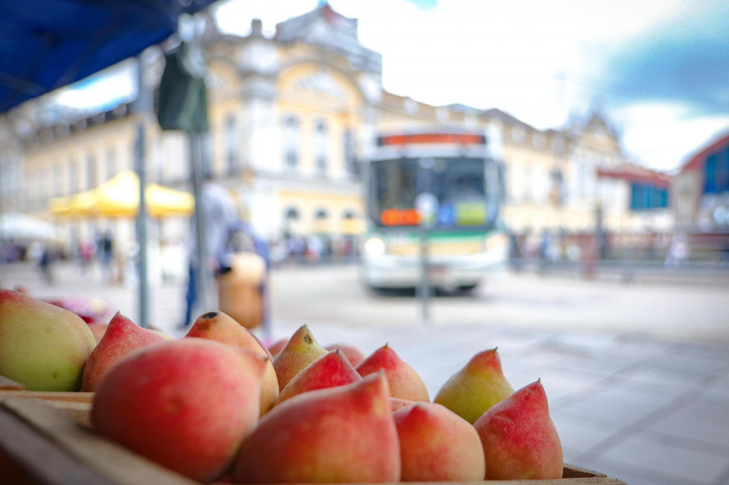 O pêssego foi a fruta que mais registrou perdas, em torno de 50%, porque a umidade aumentou a incidência de doenças, especialmente no período de maturação