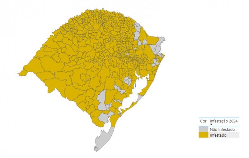Mapa da infestação de dengue no RS em 2024