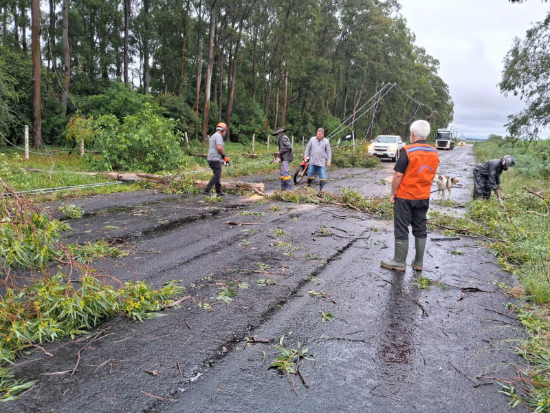 Os danos na rede elétrica foram provocados, principalmente, por galhos, árvores e objetos arremessados pelo vento