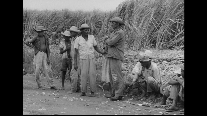 Mostra 'Documentário e Militância na Ditadura Militar'  tem curadoria de Duda Ribeiro