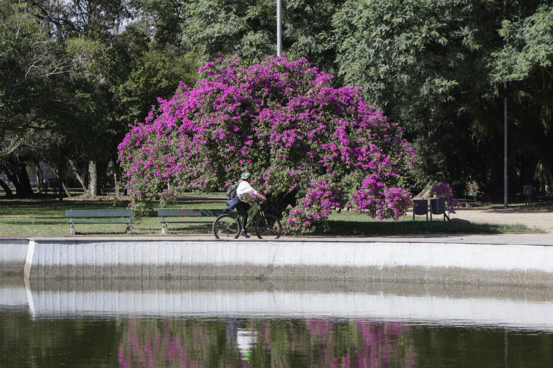 A previsão indica condições para chuvas próximas à média histórica, com volumes acima dos 300 mm, e temperaturas acima da média no Centro-Oeste do Estado