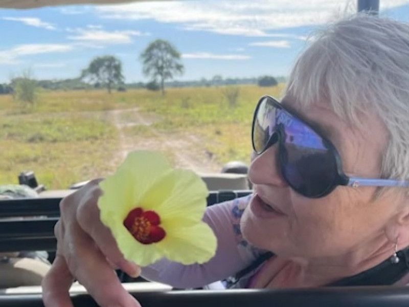Gail ficou feriada após um elefante atacar o veículo em que ela fazia safári