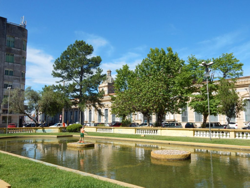 Na arborização urbana de Rio Grande, 62% das árvores eram exóticas, sendo apenas 32% nativas da região