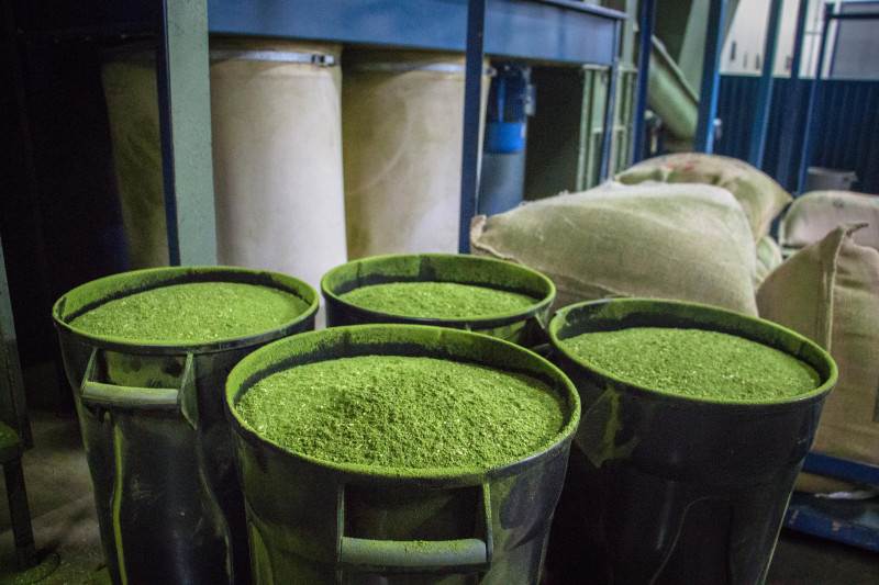 Distinção foi confirmada pelo Inpi em fevereiro e comemorada na quinta-feira, durante o Dia do Chimarrão