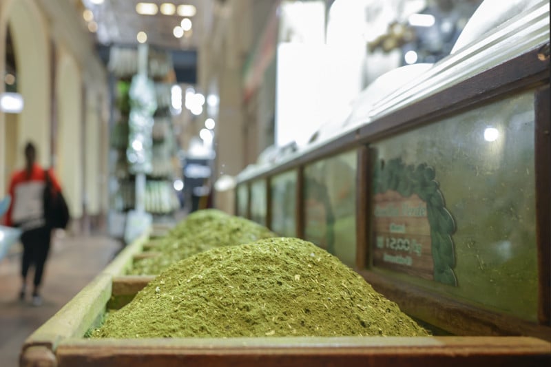 Erva-mate gaúcha rumo ao mercado internacional