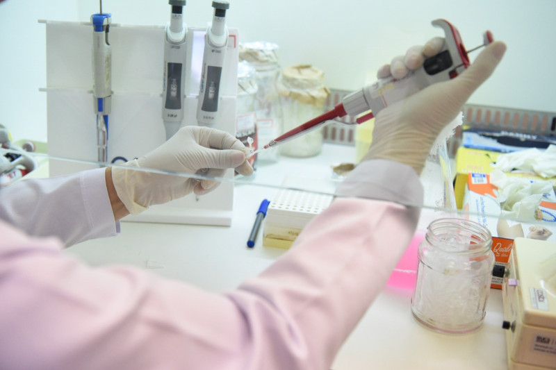 Laboratório da UCS é um dos três no País a oferecer serviços e tecnologias para o mercado