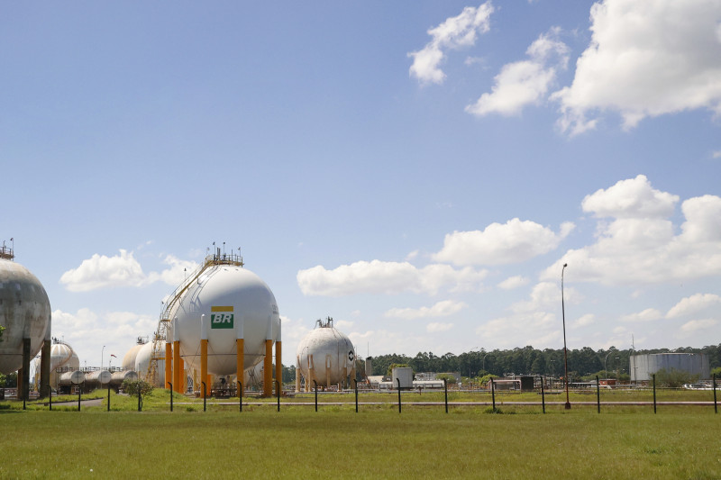 Estudo mostra que, entre 16 petroleiras analisadas, apenas três - Petrobras, Equinor e QatarEnergy - não estão presentes na distribuição