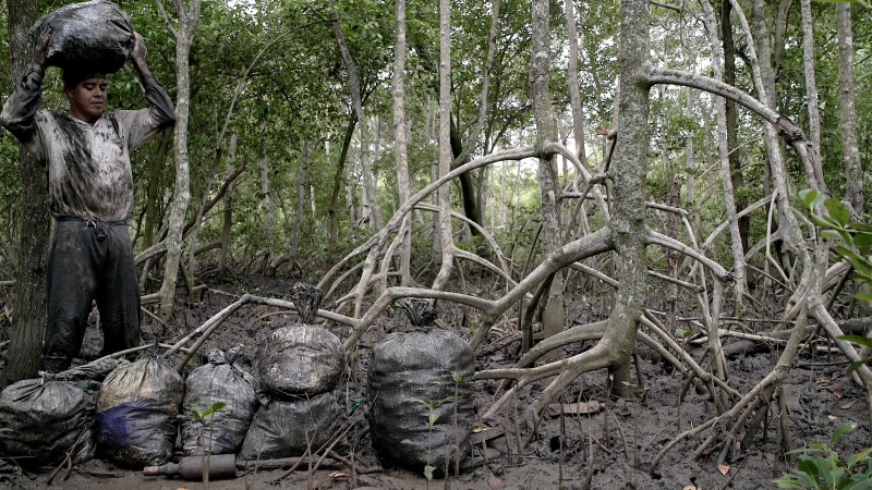 Propondo uma observa&ccedil;&atilde;o sobre diferentes aspectos da Ba&iacute;a de Guanabara, 'Uma Ba&iacute;a' chega aos cinemas