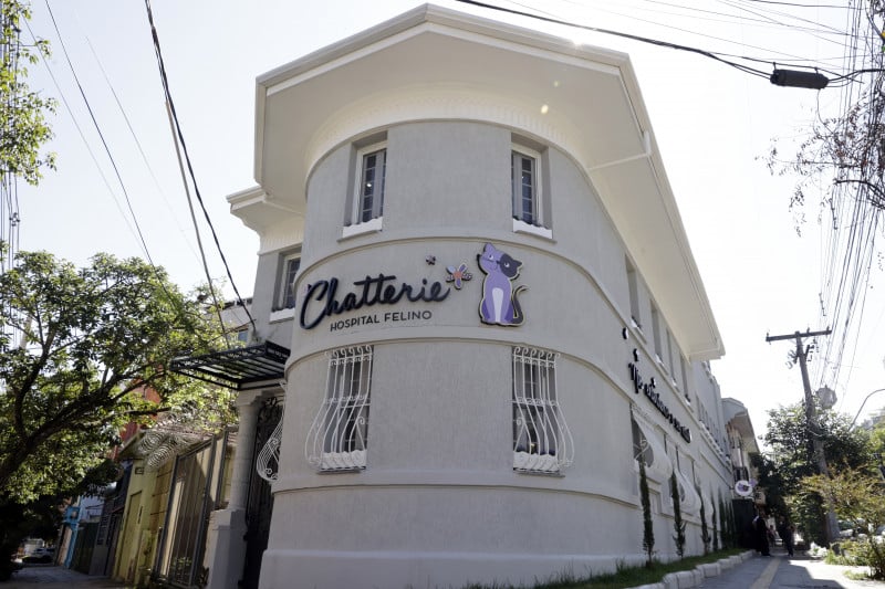 Com 150 metros quadrados, Chatterie Hospital Felino vai funcionar no bairro Moinhos de Vento