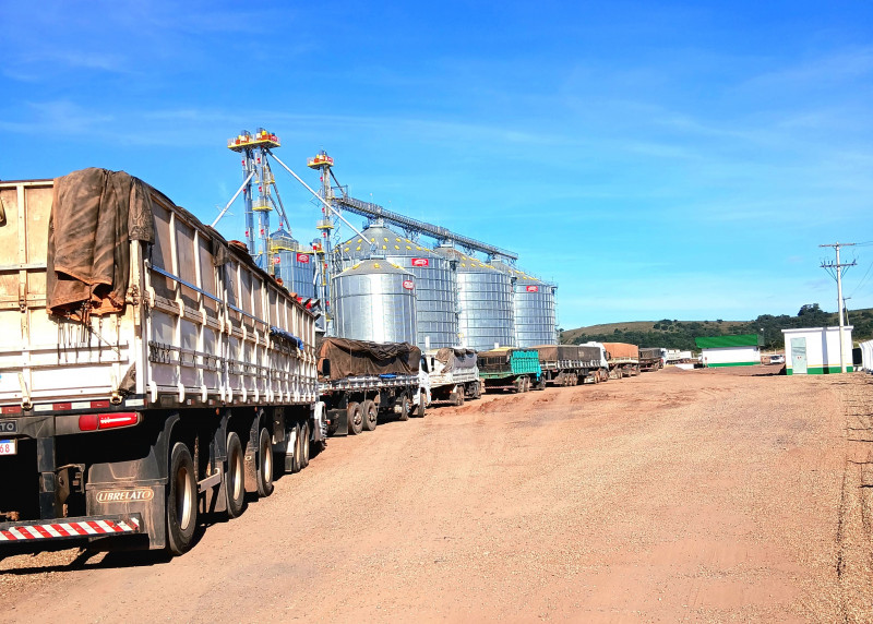 Só no último final de semana, foram entregues 12 mil sacas de soja nos armazéns da Cotrisul 