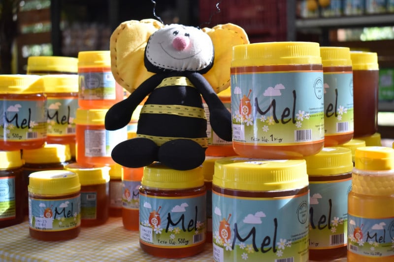 Programação acontece nos dois últimos finais de semana de maio