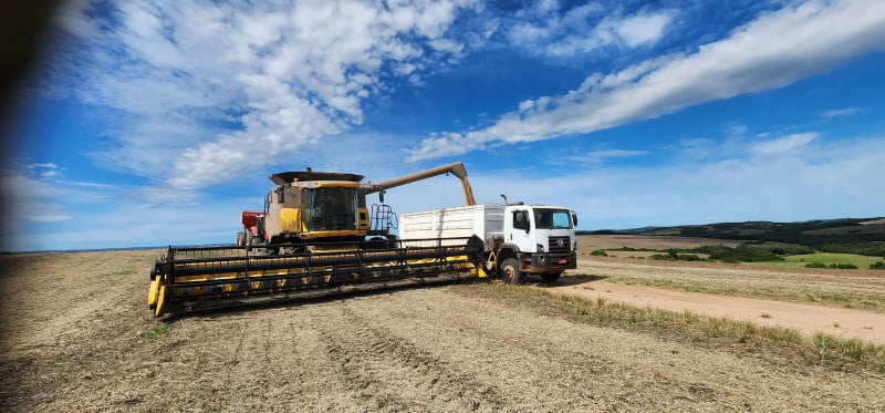 Disparada do dólar american pode trazer reflexos significativos para empresas e a produção agrícola da metade Sul do RS