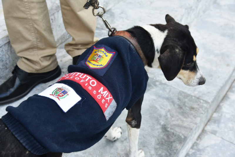 Iniciativa do Instituto Mix evitou que o material pudesse ser descartado 