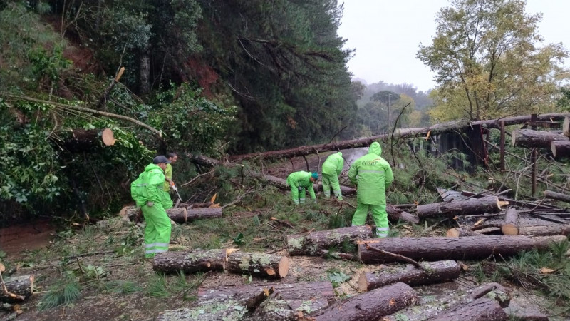 Acessos &agrave;s localidades do interior da cidade est&atilde;o bloqueados
