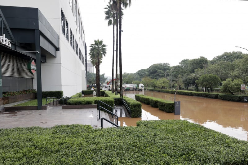 Animais estavam à venda em unidade da rede Cobasi, em shopping center de Porto Alegre que foi inundado