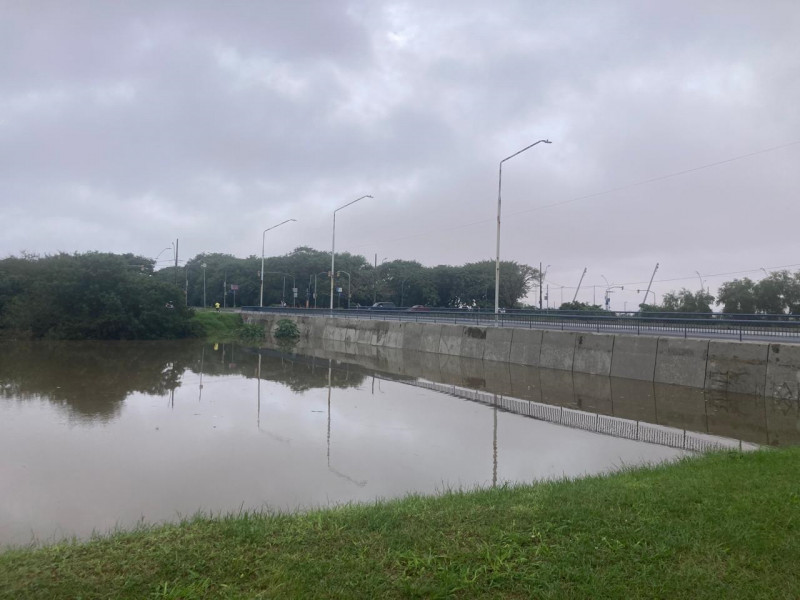 Paula Coutinho/Especial/JC