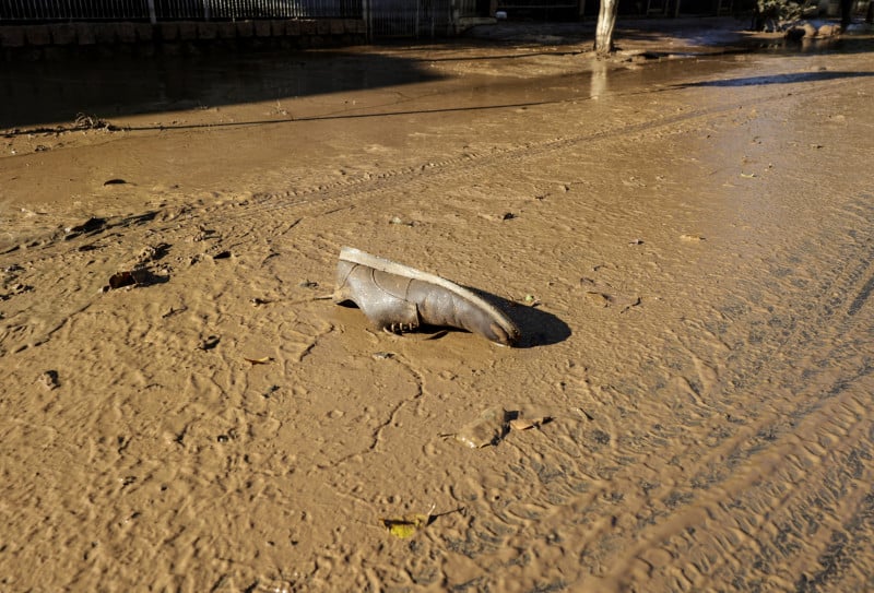 Leptospirose soma 3.658 casos notificados, 242 confirmados e 15 óbitos no RS