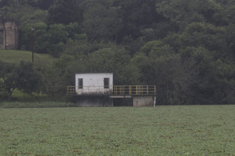 THAYNÁ WEISSBACH/JC