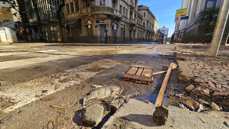 Além de peixes mortos, árvores caídas, estátuas manchadas e, até mesmo, a cabeça de um boneco no meio da rua, assustava os moradores e trabalhadores da região na manhã deste sábado (18)