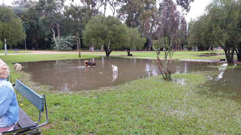 Maria Am&eacute;lia Vargas/Especial/JC