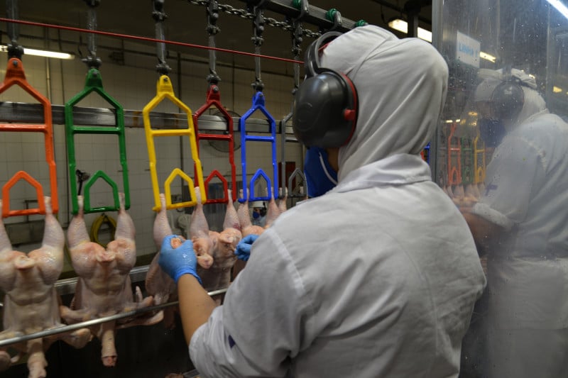 Cooperativa Languiru reforça a produção no frigorífico de aves em Westfália, em meio à crise provocada pelas cheias no Estado