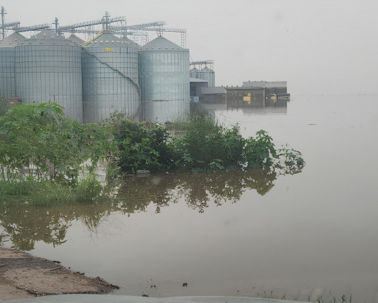 Chuvas devem provocar quebra de 2,7 milhões de toneladas de soja no RS