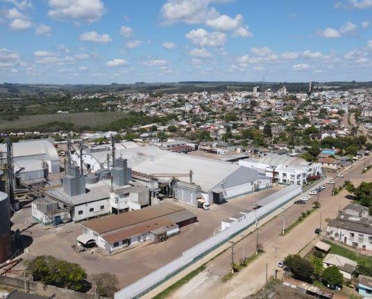 Cooperativa arrozeira gaúcha investe para consolidar posição no Sudeste e Nordeste